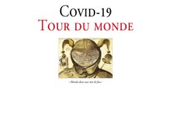 Couverture de livre dépouillée sur fond blanc uni. En haut, centré, la mention de l'auteur est inscrite en caractères serif noirs sur quatre lignes : « Collège mondial de 127 chercheurs et artistes / sous la direction de / Shigehisa Kuriyama, Ota de Leonardis, / Carlos Sonnenschein et Ibrahima Thioub ». Au centre, le titre principal est écrit en grands caractères serif sur deux lignes : « COVID-19 » en noir, suivi de « TOUR DU MONDE » en rouge, surmontant une illustration rectangulaire représentant une carte du monde insérée dans un bonnet de fou avec la légende en italique « « Monde dans une tête de fou » ». Dans la partie inférieure, un petit logo rectangulaire illustré précède la mention d'édition sur trois lignes séparées par deux fins filets horizontaux : « ÉDITIONS MANUCIUS » en caractères serif rouges, puis « INSTITUT D’ÉTUDES AVANCÉES DE NANTES » en petites majuscules noires en italique.