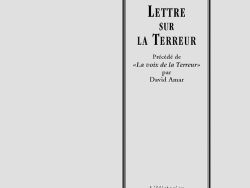 Couverture de livre sur fond gris clair uni. Sur la partie droite, un cadre vertical à double bordure noire contient la majorité des textes. En haut du cadre, centré, se trouve le nom de l'auteur en caractères serif noirs : « Louis Blanc ». Le titre principal est inscrit en grands caractères serif majuscules noirs sur trois lignes : « LETTRE / SUR / LA TERREUR ». En dessous, la mention de la préface est inscrite en caractères noirs sur trois lignes : « Précédé de / «La voix de la Terreur» / par / David Amar » avec le titre de la préface en italique entre guillemets français. En bas, à l'intérieur du cadre, le nom de la collection est écrit en italique noir : « L'Historien ». Tout en bas, à l'extérieur du cadre, figure le nom de l'éditeur en caractères serif noirs : « Éditions Manucius ».