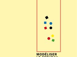 Couverture de livre sur fond jaune clair uni. En haut, une en-tête en caractères sans serif majuscules sur deux lignes indique le nom de la collection : « MODÉLISATIONS DES IMAGINAIRES » en noir, suivi de « INNOVATION ET CRÉATION » en rouge. Sur la partie droite, le nom de l'auteur est inscrit en petites majuscules noires soulignées : « DENIS LE BIHAN », surmontant un grand cadre vertical à bordure rouge qui contient une série de petits motifs géométriques simples de couleur (cercles et carrés de différentes teintes). Sous le cadre, le titre principal est écrit en grands caractères sans serif majuscules noirs sur deux lignes : « MODÉLISER / LE CERVEAU », suivi du sous-titre en majuscules noires plus petites sur deux lignes : « LES AVANCÉES DE / L’IMAGERIE ». Tout en bas, le nom de l'éditeur est espacé horizontalement sur toute la largeur : « É D I T I O N S M A N U C I U S ».