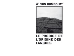 Le prodige de l'origine des langues