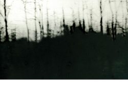 Couverture de livre divisée en deux parties. La moitié supérieure présente une photographie en noir et blanc floue et sombre figurant une silhouette de forêt ou d'arbres dénudés. En haut, centré en lettres noires, se trouve le nom de l'auteur : « Éric Marty ». En dessous, le titre est écrit en italique sur deux lignes : « Sur Shoah de Claude Lanzmann ». La moitié inférieure de la couverture est un fond blanc uni sans cadre, comprenant en bas le nom de la collection souligné : « LE MARTEAU SANS MAÎTRE », suivi juste en dessous du nom de l'éditeur : « Éditions Manucius ».